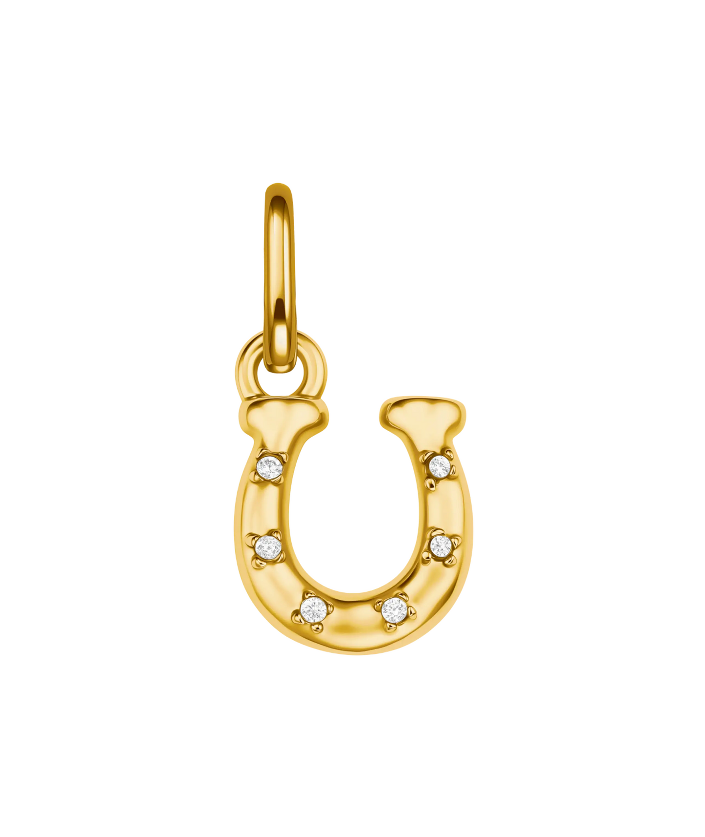 Lucky Horseshoe Charm