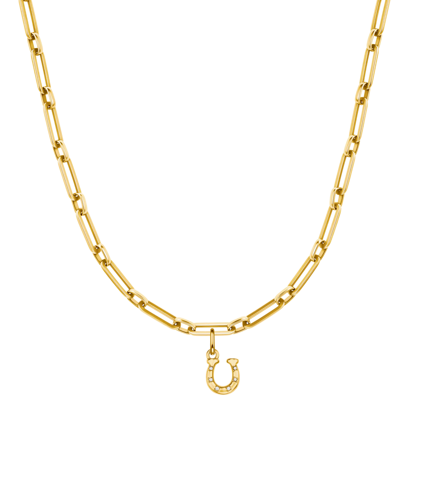 Lucky Horseshoe Charm